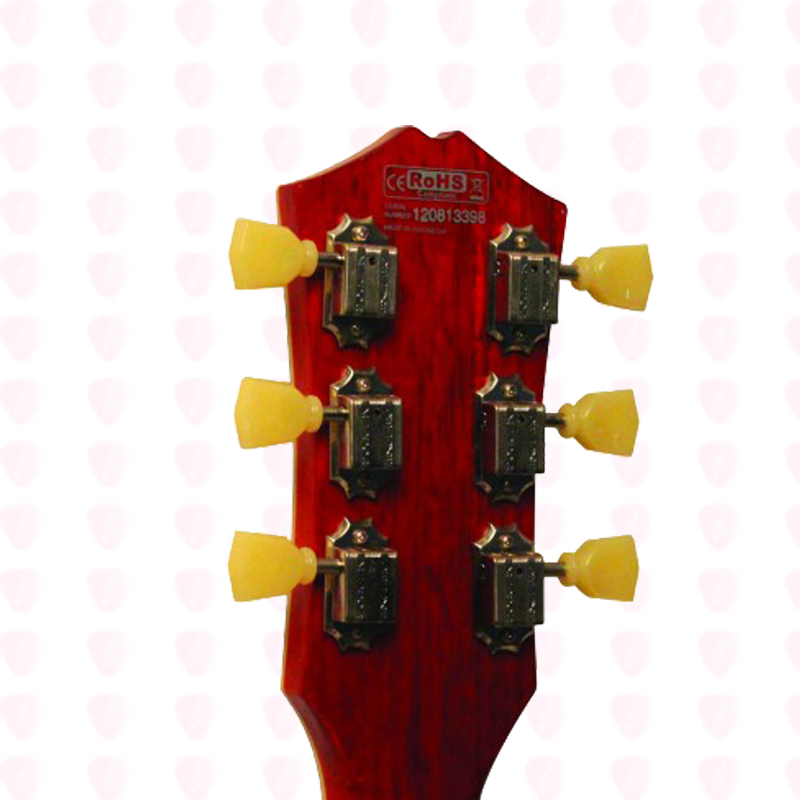 گیتار Cort مدل CR_Custom