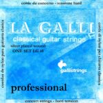 سیم گیتار گالی Gali LG40