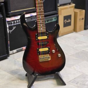 گیتار الکتریک زین Zinn