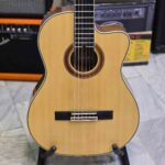 گیتار اسمیجر 110