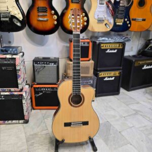 گیتار اسمیجر 110